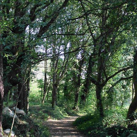 Casa Rural Vella Da Rivera O Sisto Εξωτερικό φωτογραφία