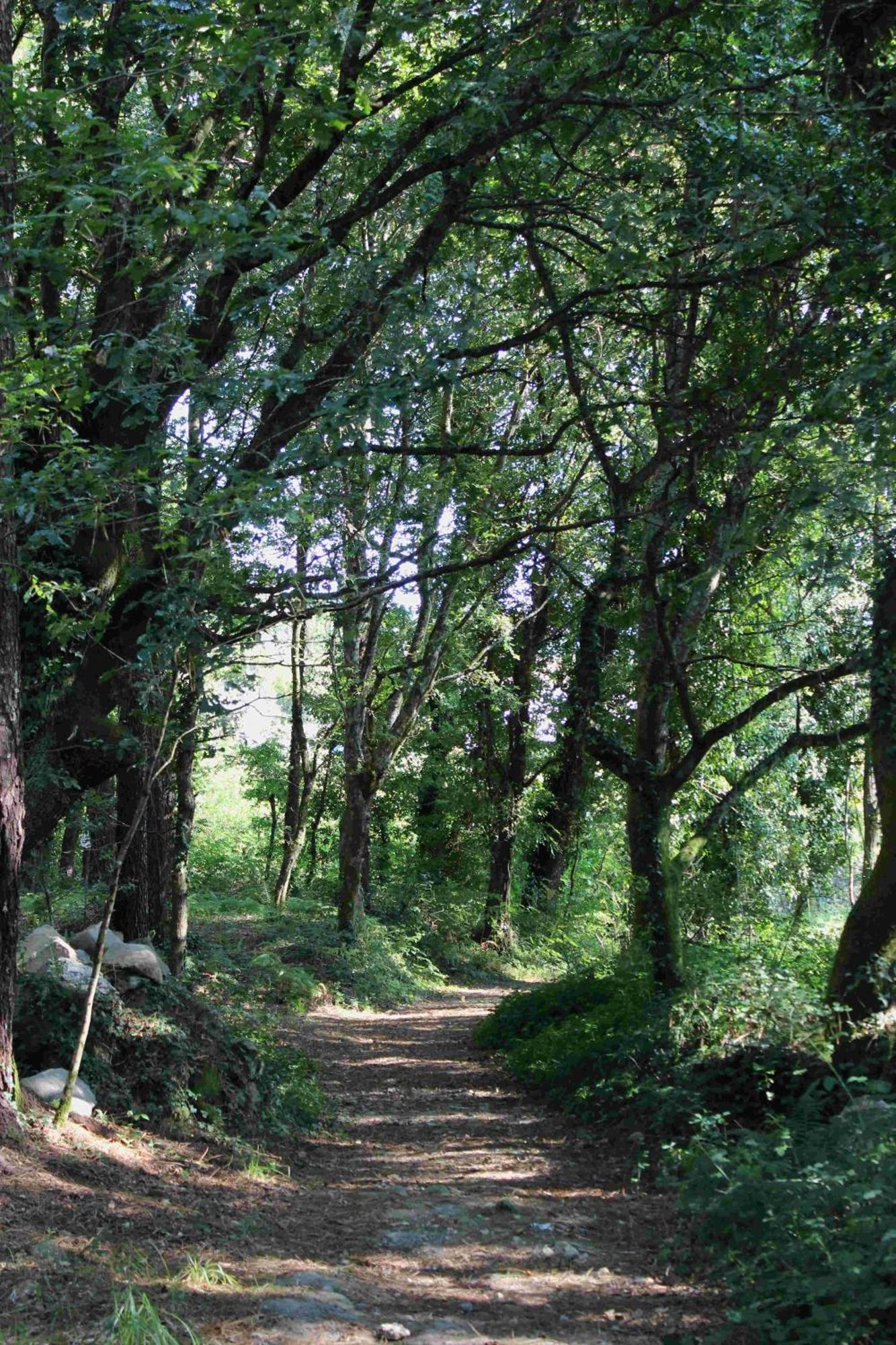 Casa Rural Vella Da Rivera O Sisto Εξωτερικό φωτογραφία